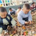 萬福店中心幼兒園：落葉飄飄  創(chuàng)意無限