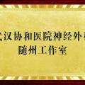 好消息！“近”享頂尖醫(yī)療服務(wù)！協(xié)和醫(yī)院神經(jīng)外科知名專家團隊每周四到市中心醫(yī)院坐診、手術(shù)！