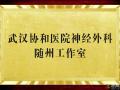 好消息！“近”享頂尖醫(yī)療服務！協(xié)和醫(yī)院神經(jīng)外科知名專家團隊每周四到市中心醫(yī)院坐診、手術！