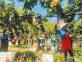 荒坡地上種出“甜蜜”希望 ——廣水市十里街道觀音村千畝梨園見(jiàn)聞
