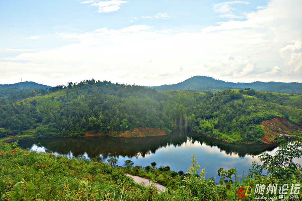 DSC_2043.JPG DSC_2043.JPG