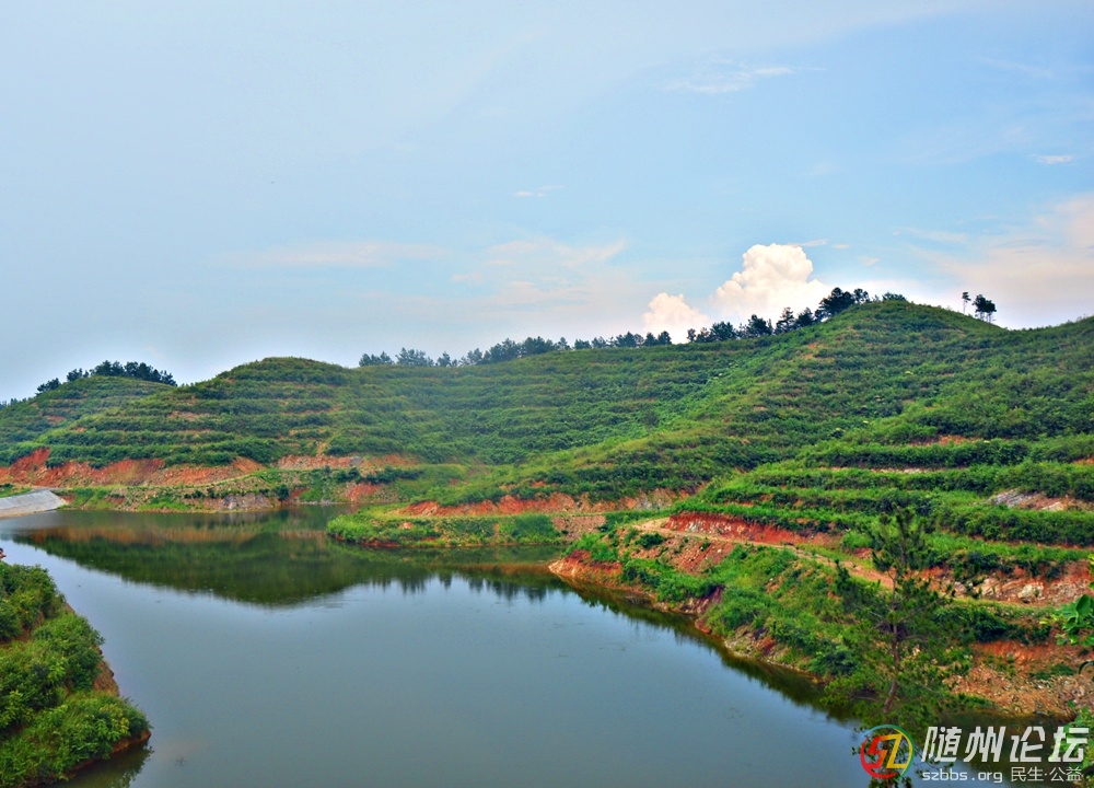 DSC_2034.JPG DSC_2034.JPG