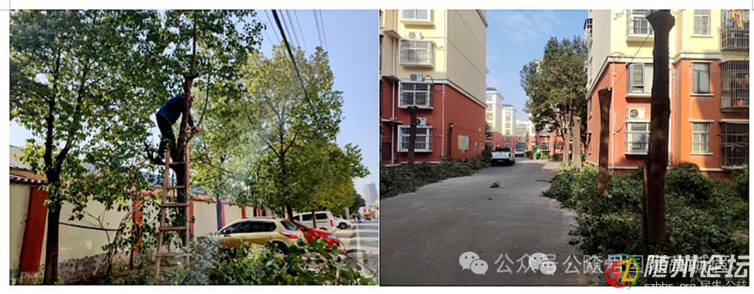 微信圖片_20250115153715.png