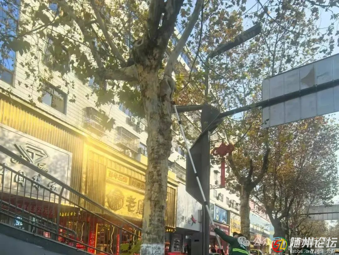 微信圖片_20250115154122.jpg